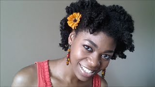 4C Natural Hair  Flexi Rods on Dry Twists  NaturalMe4C [upl. by Cherilynn]