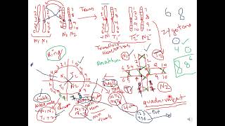 Mechanism of Translocation of chromosomes Part2 genetics botanylifescience botany zoology [upl. by Leiahtan]