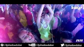 PARTY ALL NIGHT DJ SHADOW DUBAI REMIX [upl. by Ahcsas]