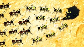 ENDLESS ANT ARMIES Battle for Domination in Empires of the Undergrowth Tug of War [upl. by Aiehtela]