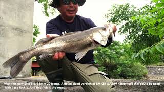 ベビーフェイスSM85Sでシーバスを狙う！一口サイズの威力がすごい！Targeting seabass with babyface SM85S One bite size nails [upl. by Bahe]