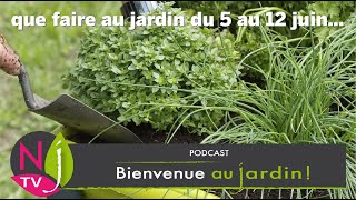 QUE FAUTIL FAIRE DANS LE JARDIN DU 5 AU 12 JUIN  LES BONS CONSEILS PRATIQUES DE PATRICK ET ROLAND [upl. by Kopple]