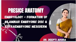 GENERAL EMBRYOLOGY  Bilaminar embryonic Disc Extraembryonic mesoderm fetal membranes [upl. by Adiehsar606]