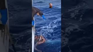 Giant squid grasping his catch fishing squidding fish octopus shark ocean [upl. by Marcellus282]