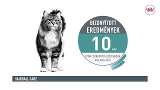 Royal Canin FCN Hairball Care aszpikban [upl. by Anitneuq]