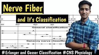 Nerve Fiber and its TypesErlanger and Gasser Classification  CNS Physiology hindi Ashish [upl. by Nahsrad]