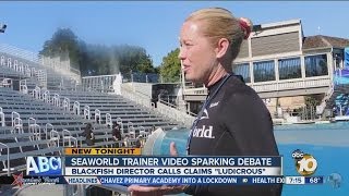 Blackfish director responds to SeaWorld trainer interview [upl. by Sitoeht763]