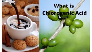 What is Chlorogenic Acid [upl. by Charisse]