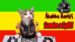 Shabba Ranks  Smoke a spliff [upl. by Nirtak]