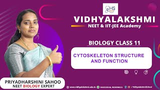 Cytoskeleton structure and function Cytoskeleton class 11  NEET [upl. by Ahsika81]