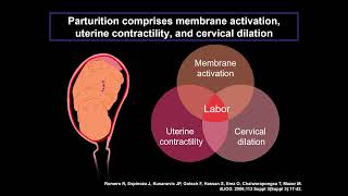 NLRP3 signaling and preterm labor and birth [upl. by Anthiathia]