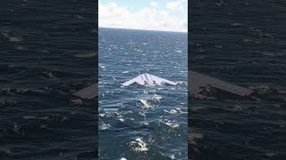 Northrop Grumman B2 Spirit stealth aircraft takes off on aircraft carrier shorts [upl. by Joli303]