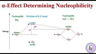 αEffect Determining Nucleophilicity [upl. by Apeed654]