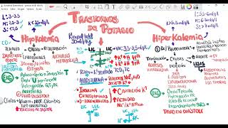 Trastornos del Potasio Hipopotasemia e Hiperpotasemia Hipo e hiperKalemia [upl. by Eendys]