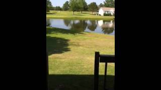 Lake Pointe Apartments  2 bedroom Townhouse [upl. by Primaveras]