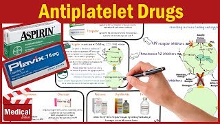 Pharmacology CVS 20 Antiplatelet Drugs Mechanism Of Action  Aspirin  Clopidogrel  Cilostazol [upl. by Cartwell]