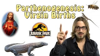 Parthenogenesis Virgin Births [upl. by Garner148]