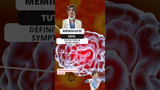 Guide pratique de la méningite Tutoriel essentiel pour les infirmiers ide tutorial meningitis [upl. by Ofelia]