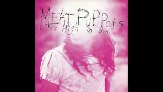 Meat Puppets  Backwater HQ [upl. by Carilla602]