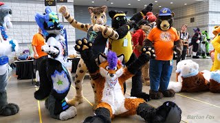 Anthrocon 2024  Fursuiting 101 [upl. by Calmas]