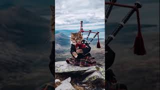 Udd Jaa Kaale Kaava  Gadar 2  Flute  Instrumental Music [upl. by Yral123]