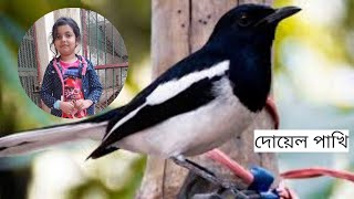 Doyel Pakhi দোয়েল মোদের জাতীয় পাখি আবৃতি অনা Bangla Poem Kobita Kids song Orthi and Ona TV [upl. by Ynos]