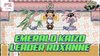 Leader Roxanne  Pokemon Emerald Kaizo Hardcore Nuzlocke  Quick Box Check for the Early Game [upl. by Prentiss]