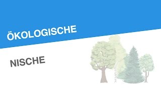 ÖKOLOGISCHE NISCHE  Biologie  Ökologie [upl. by Ardiekal]