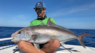 Vertical Jigging for Amberjacks  Live Fishing [upl. by Walli917]