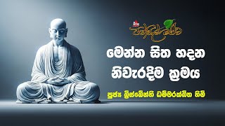 සිත හදන නිවැරැදි ක්‍රමය  පන්සිල් මළුව  Pansil Maluwa  පුජ්‍ය බ්‍රිස්බේන්හි ධම්මරක්ඛිත හිමි 2024 [upl. by Aiela]