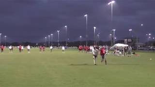 Cornell Buds  2019 Florida Warm Up Highlights [upl. by William423]