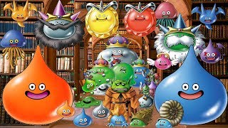 How to get EVERY SLIME MONSTER in Dragon Quest Monsters Joker [upl. by Eedebez]