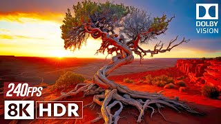 Real Dolby Vision  Exploring Earths Magnificent Beauty in 8K HDR 240fps [upl. by Dumond]