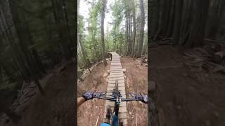 MY FAVOURITE BIKE PARK IN THE WORLD  revelstoke [upl. by Bergquist641]