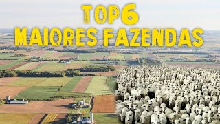 TOP 6 MAIORES FAZENDAS DO BRASIL  FAZENDAS MAIORES QUE CIDADES [upl. by Toby]