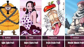 Every Single Paramecia Devil Fruit User In One Piece [upl. by Rahs]