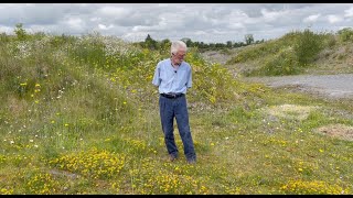 Birds Foot Trefoil with John Feehan in June part of the Wildflowers of Offaly series [upl. by Prue]