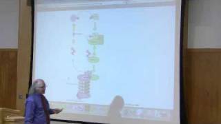 Protein Synthesis Translation by Kevin Ahern Part 6 of 7 [upl. by Hennessy]