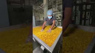 Snaks Making process  snaks food factorymade youtube facts factorymaking chipsmaking [upl. by Brittni]