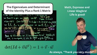 The Identity Matrix Plus a Rank One Perturbation [upl. by Serafina737]