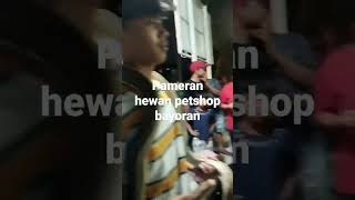 sabtu minggu pameran hewan petshop bayoran lama [upl. by Osmen]