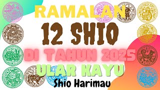 Peruntungan Shio Harimau tahun 2025 [upl. by Llednik533]