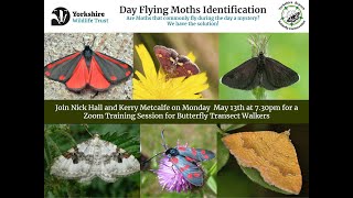 Day Flying Moths Identification for Transect Walkers [upl. by Benedick]