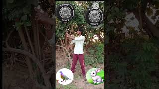 Car wheel to kabutar khargosh Gamla amp ghadi Hindi varnmala ke magical video [upl. by Mcmaster]