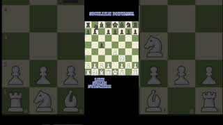 I Learned the Sicilian Defensesicilian short chess defense [upl. by Nirrad]