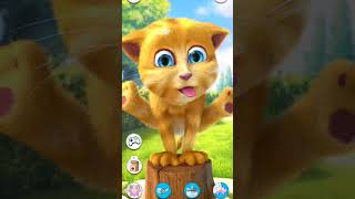 Cat videos for Cats to watch string  🌶️ Billi video  3 [upl. by Wavell]