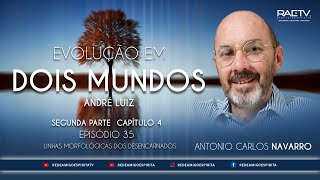 35 EVOLUÇÃO EM DOIS MUNDOS  Cap 4  Linhas morfológicas dos desencarnados  com Antônio Navarro [upl. by Scherle637]