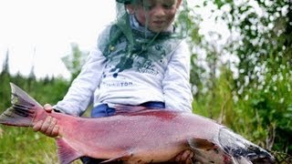 Sockeye amp King Salmon Rainbow Trout  Gulkana River Alaska  Lachse Angeln in Alaska [upl. by Adnawal109]