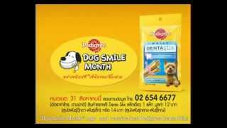 Pedigree DentaStix Dog Smile Month 2012 [upl. by Olleina]