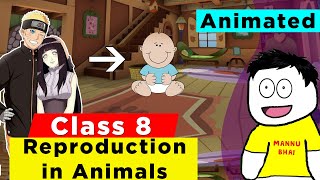 Reproduction in Animals Full Chapter Class 8 Science  NCERT Science Class 8 Chapter 6 [upl. by Morganstein]